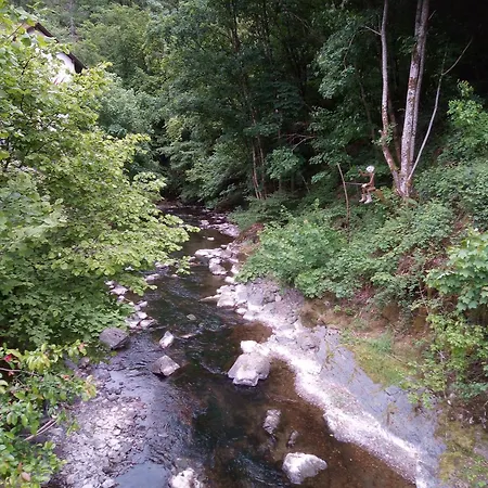 My Is My Castle * Hontheim