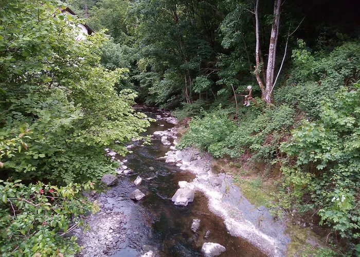 My Is My Castle * Hontheim