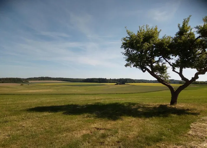 My Is My Castle * Hontheim